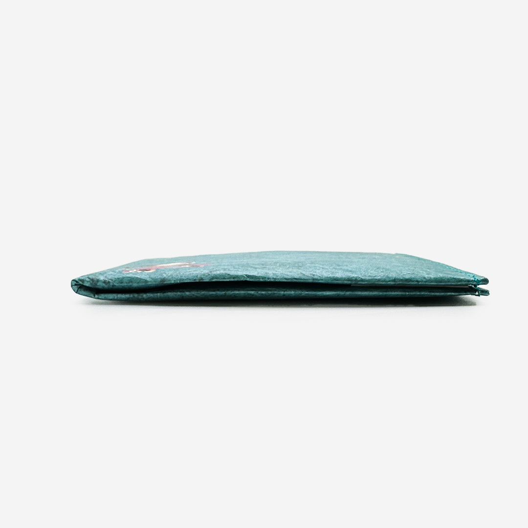 Paprcuts RFID Wallet Ollie the Otter Portemonnaie grün PRO
